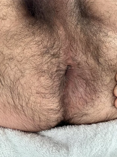 Ripe hairy man ass
