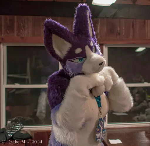 Tall angel dog girl here to say hiiii!