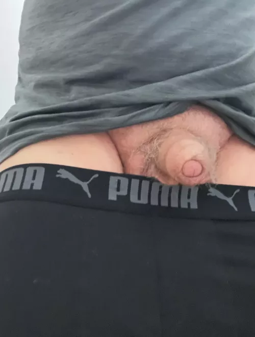 The Foreskin and the Puma.