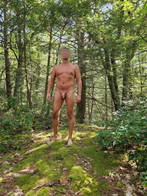 The moss was everything