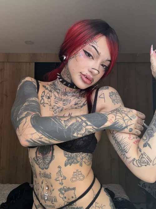 want a stream today? 