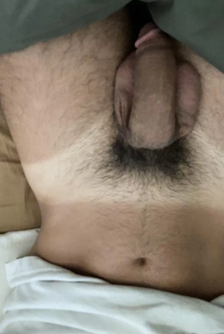 What you’d see if you tried pulling down my covers to sneak a peak (23)