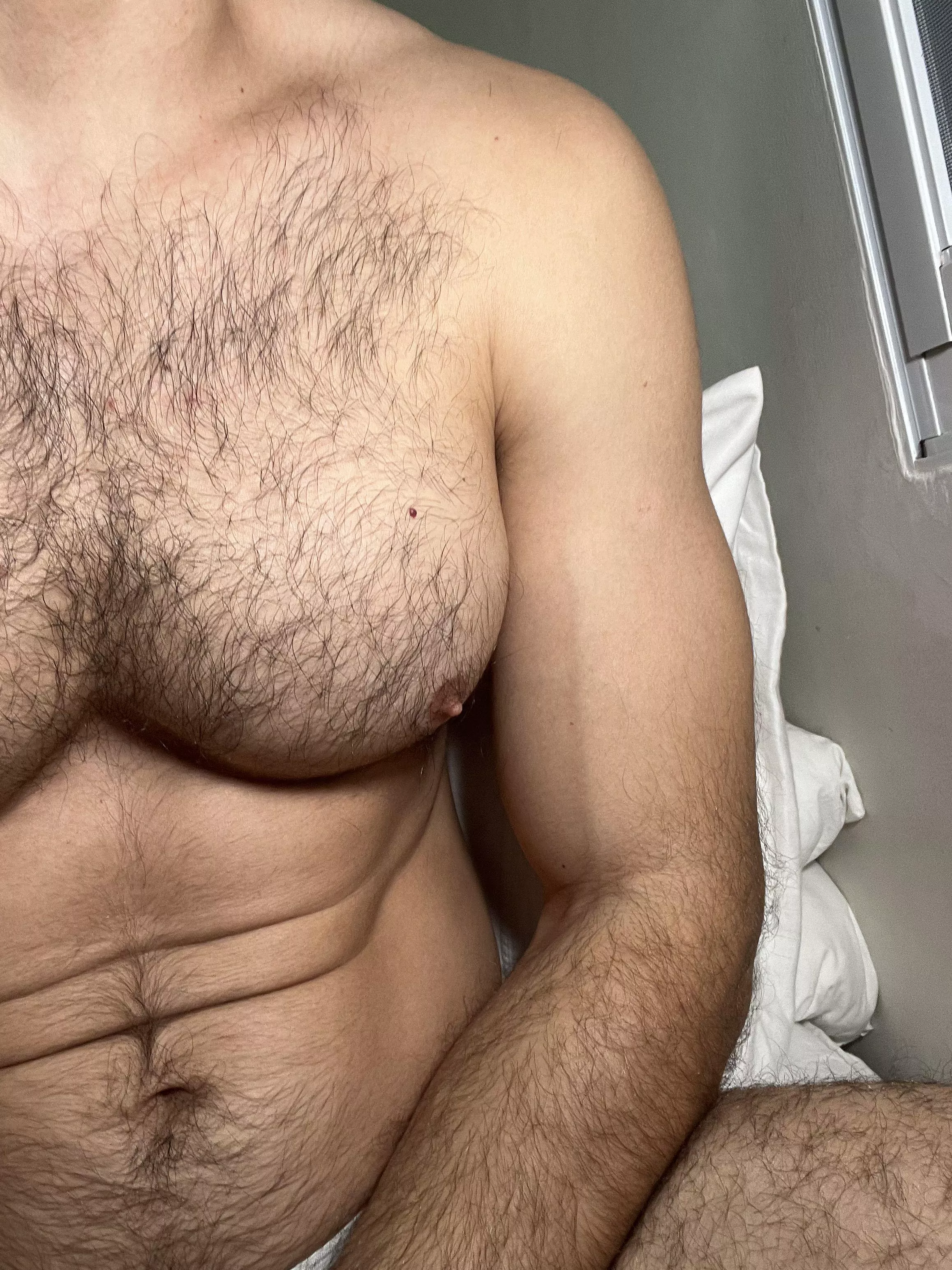 Bet you'd love resting your head on my furry chest 🤤
