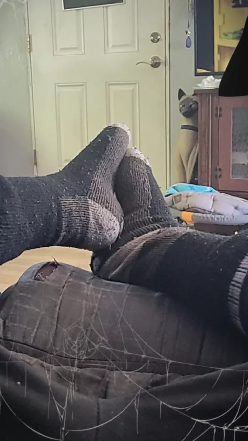 Definitely worth it?