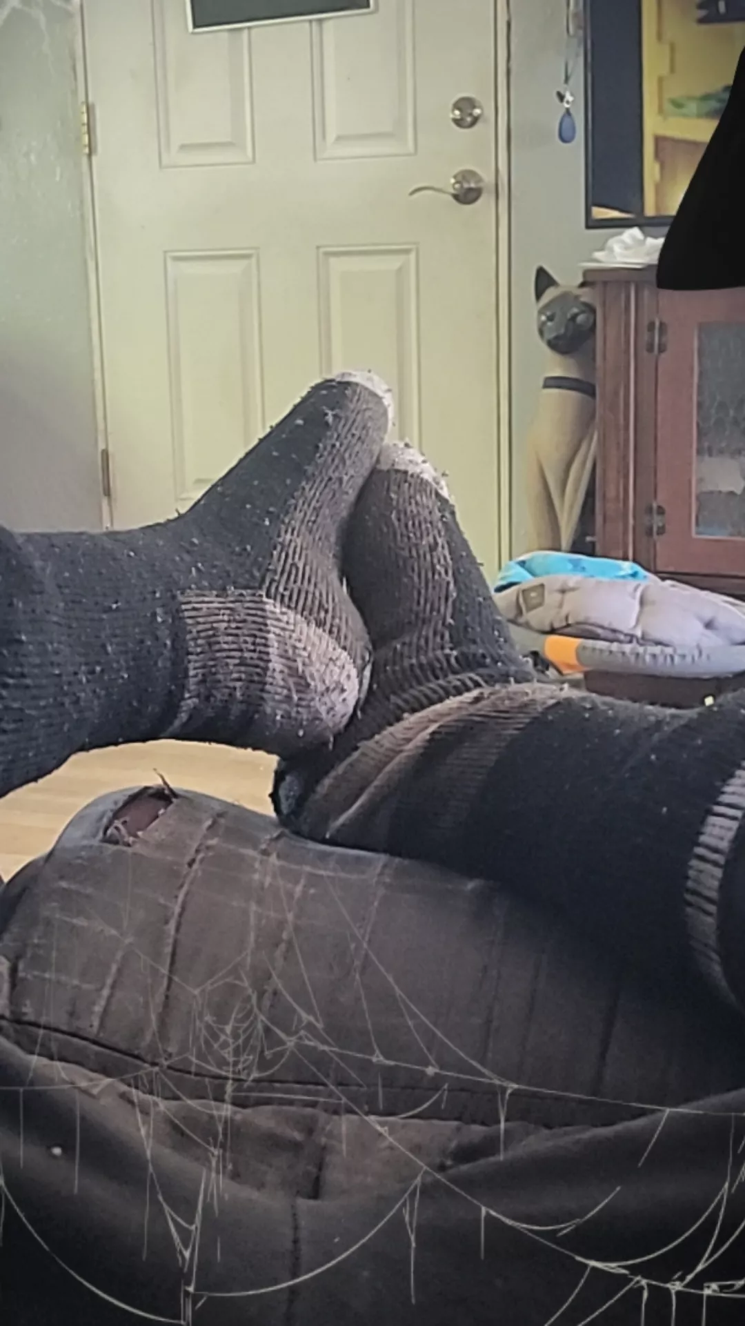 Definitely worth it?