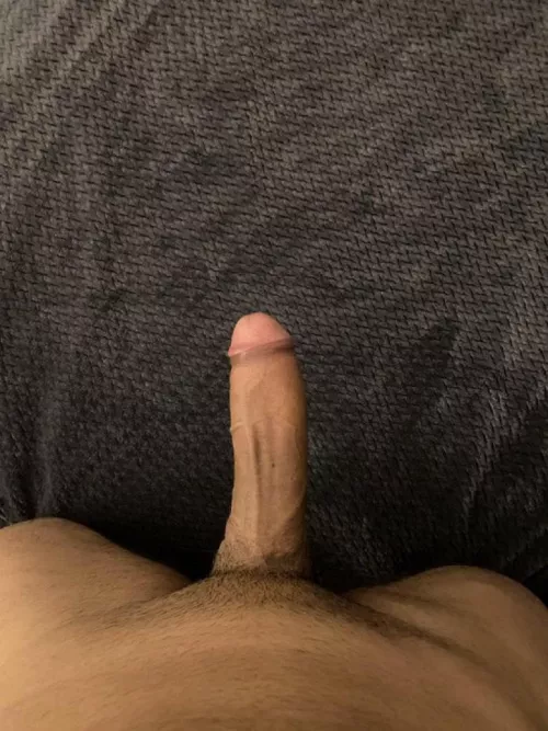 Dm me if you want this cock