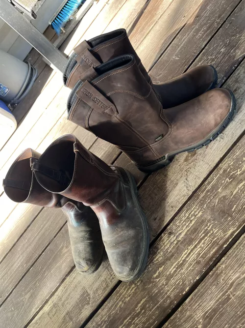 From Wolverine raiders to Irish setter two harbors.