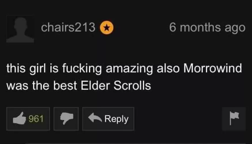 Of course PH dudes like Elder Scrolls the best. They're not classy like the Oblivion dudes on Spankbang 🙄