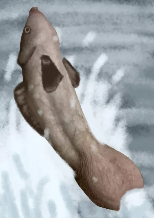 Someone said my dick looks like a fish emerging from water…