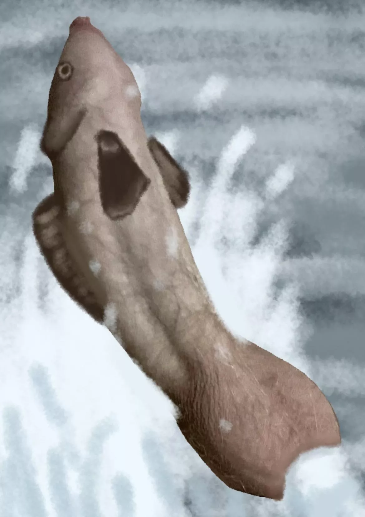 Someone said my dick looks like a fish emerging from water…