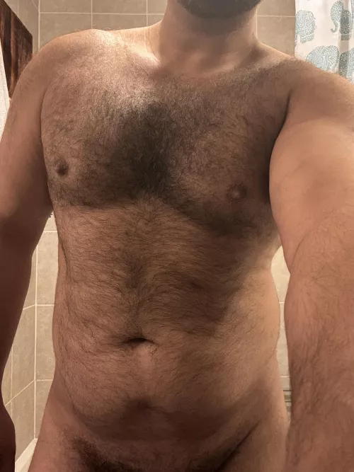 The forestry commission called. They want their land back. 