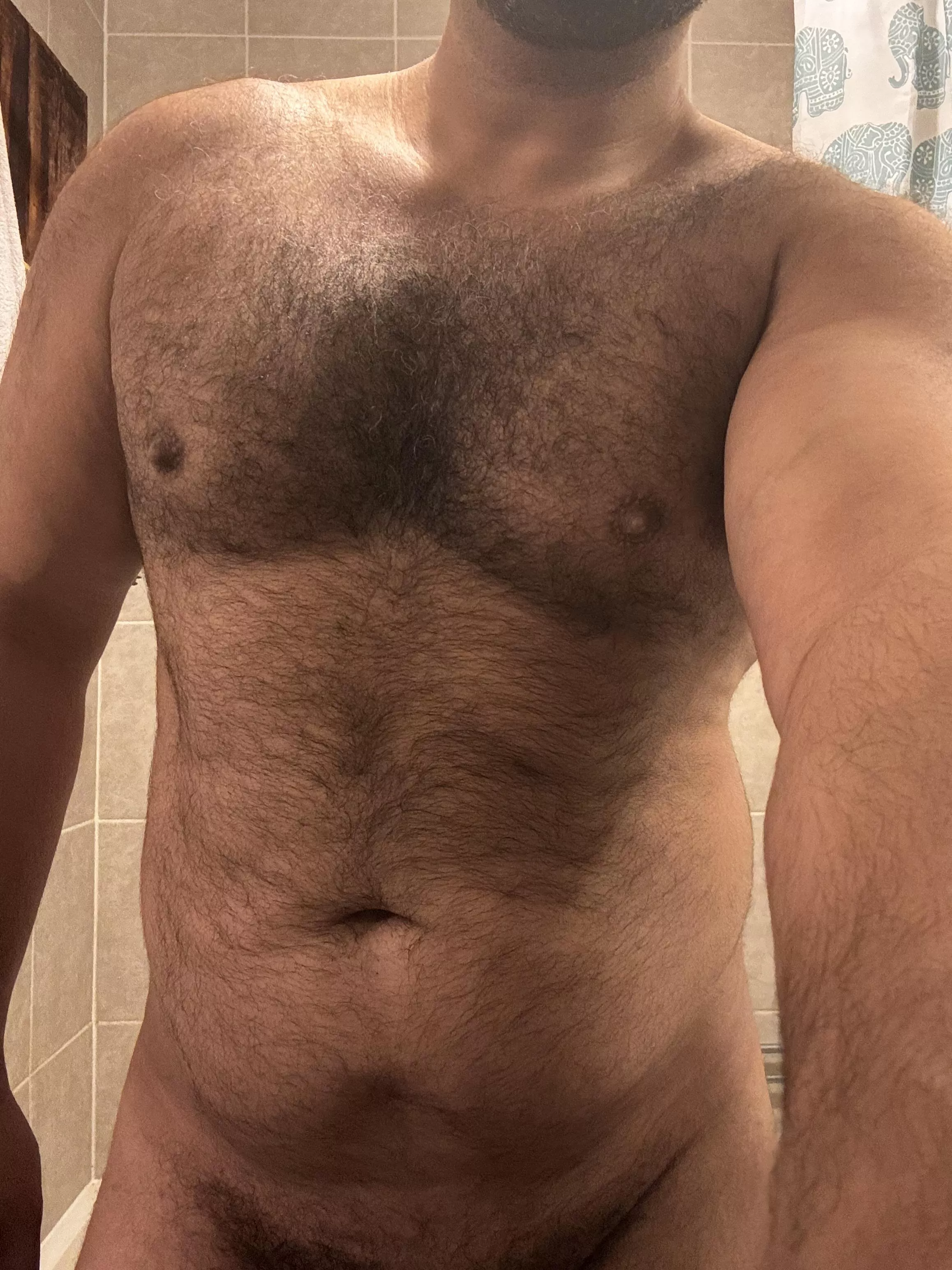 The forestry commission called. They want their land back. 