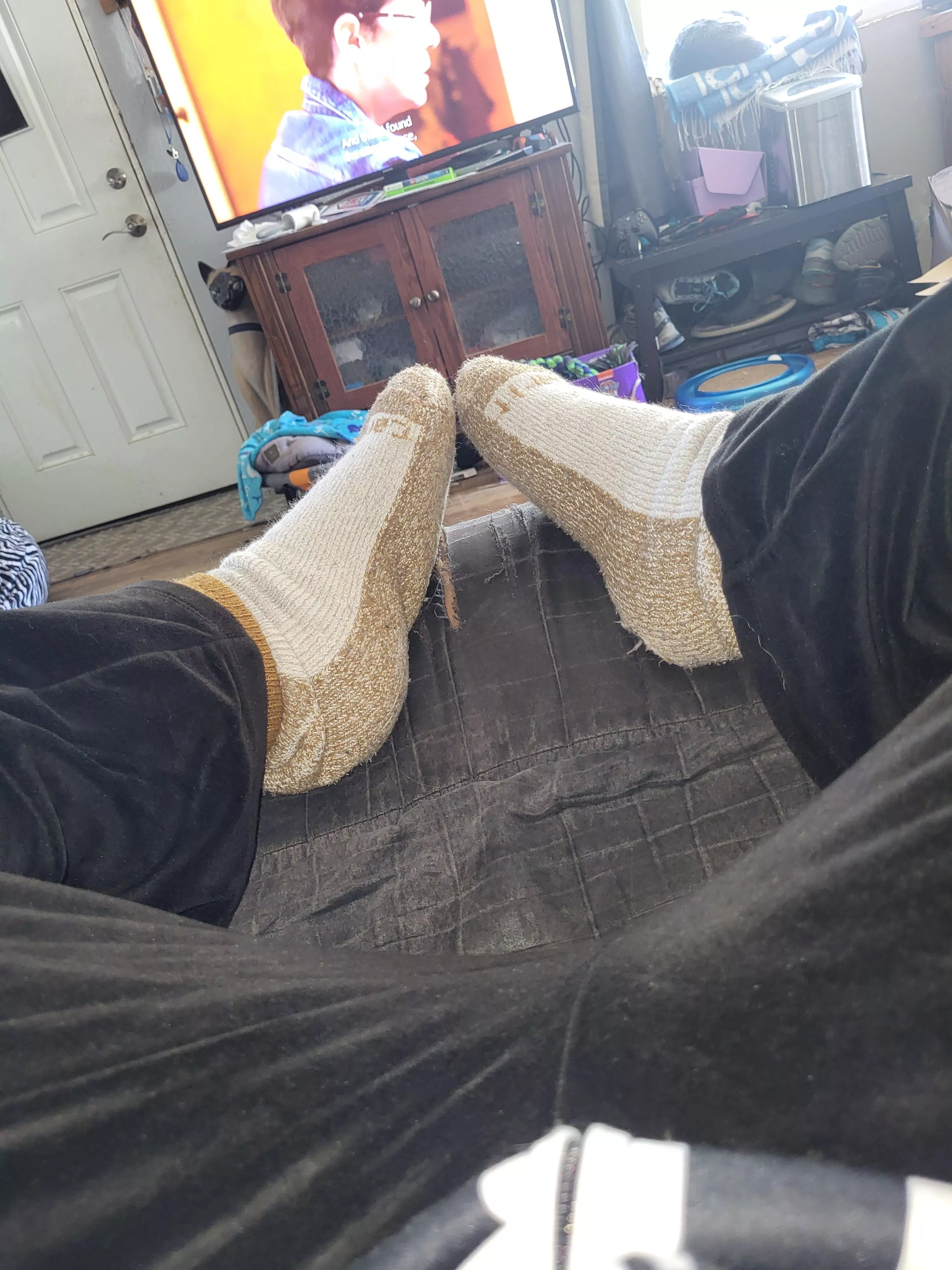 These drive you wild