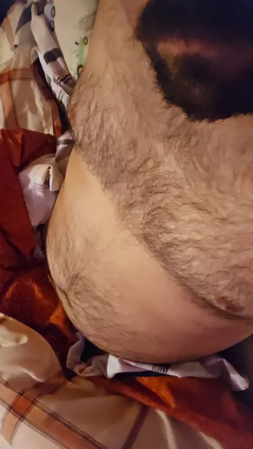 25 y/o bottom teddy bear