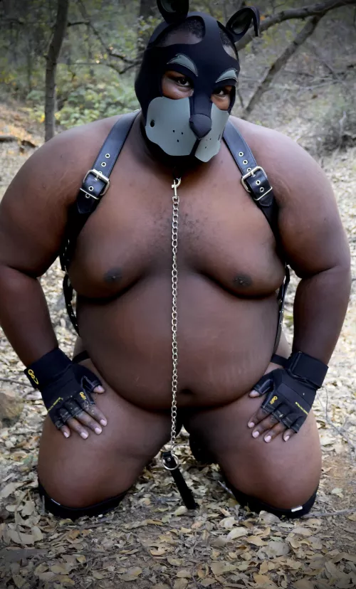 This puppy looooves the Outdoors 