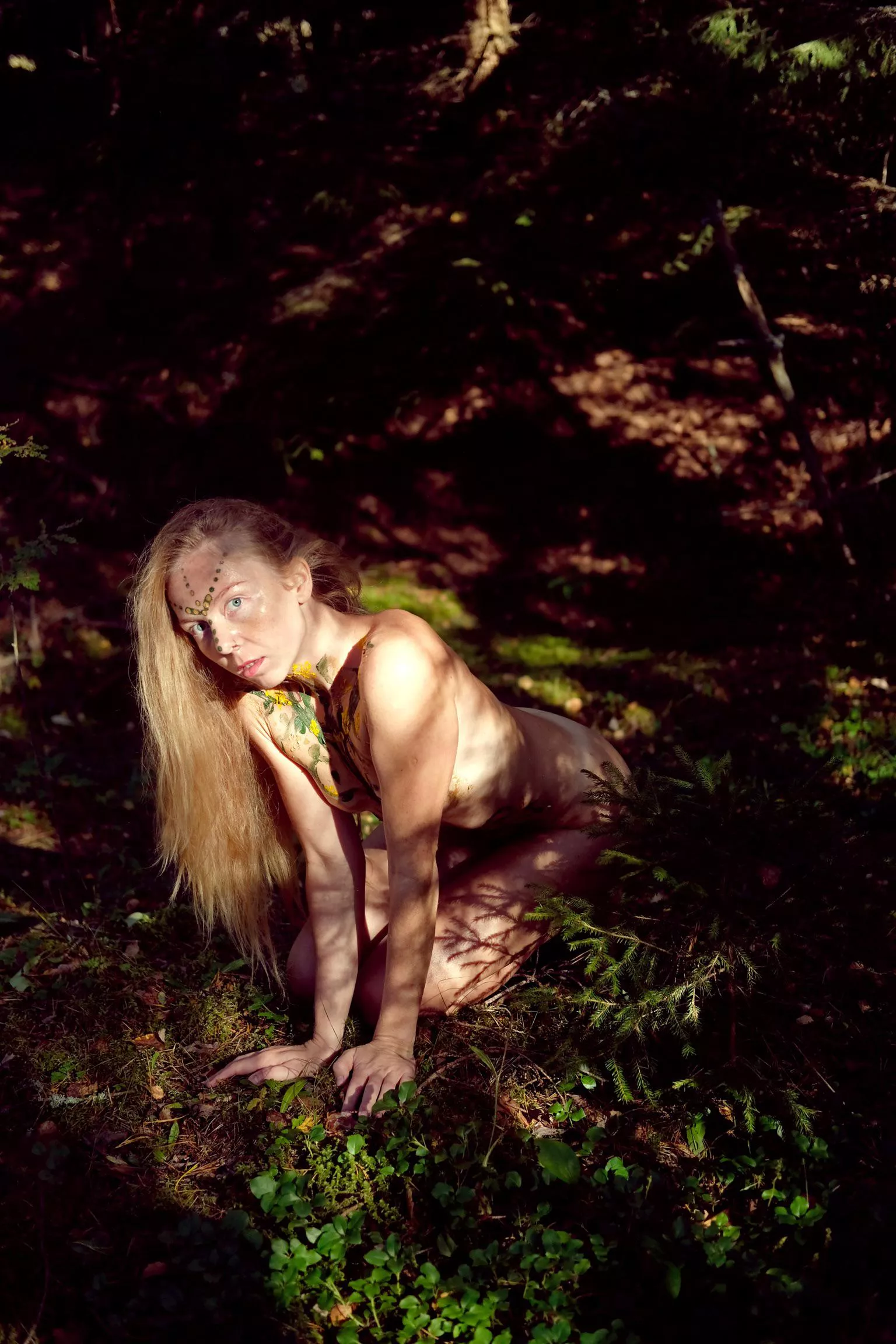 Wondering in the forest