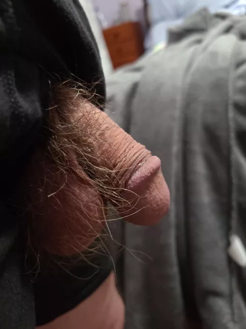 [62] just getting dressed 