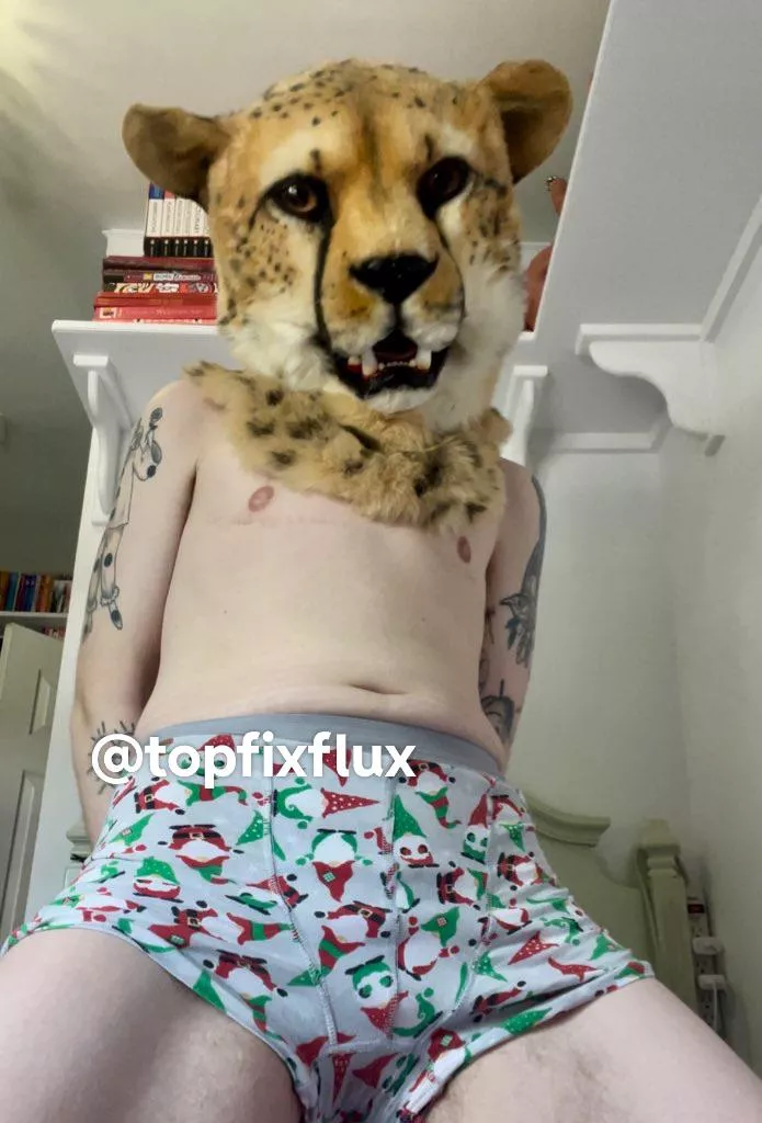 Meow ;3 cheetah boi says hii 