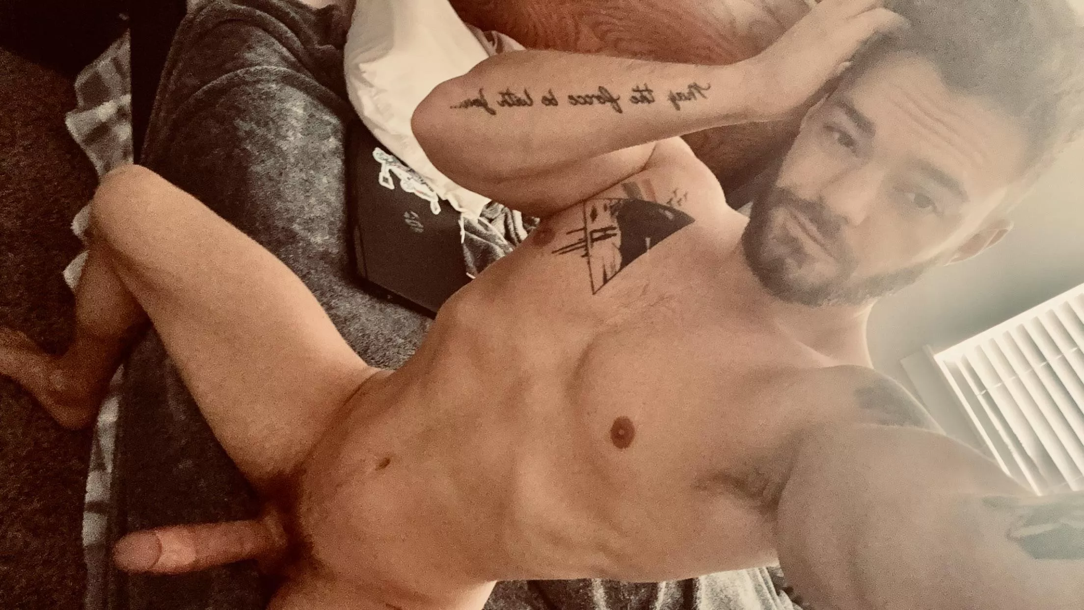 My cock belongs in a Museum