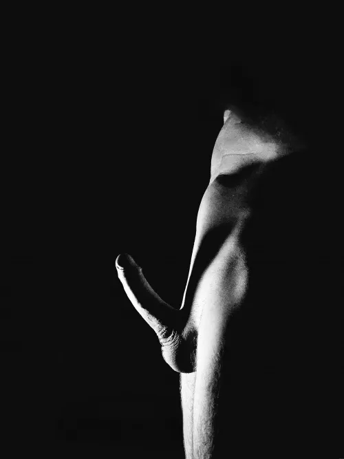 a silhouette of strength