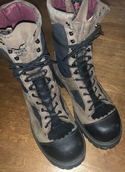 Got a pair of Nicks kilties to put in my hoffmans.