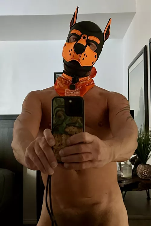 Happy Weekend Pups ^..^~