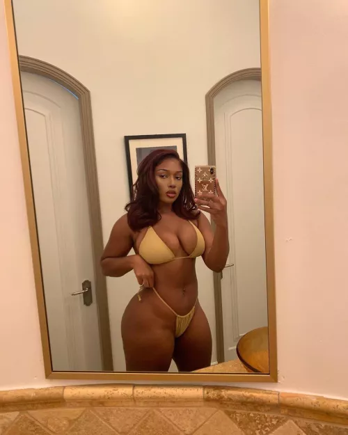 Megan Thee Stallion is too much