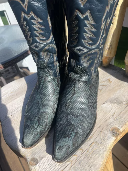 New to my Tony Lama collection 