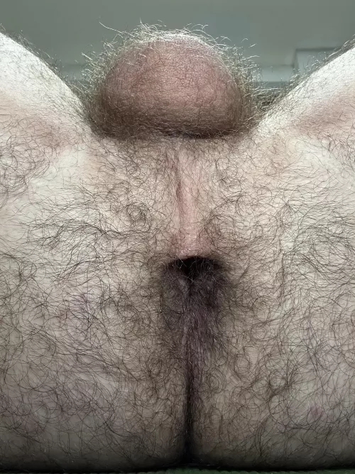 Wanna explore my hairy cave?