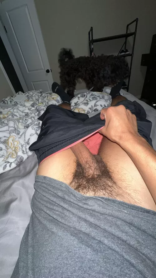 Who wants to give it a lick