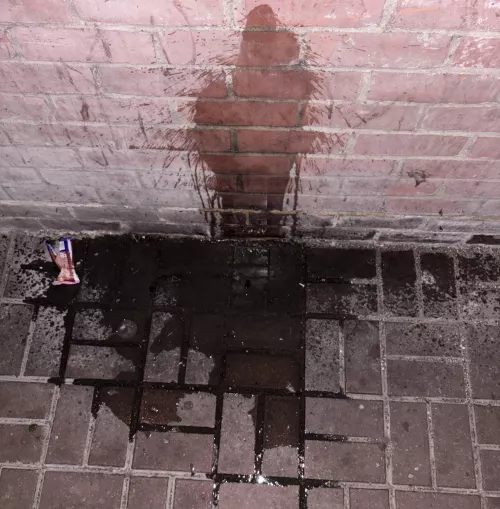 20m. If ya gotta go ya gotta go ;)- dm me if you also like pissing random places ;)