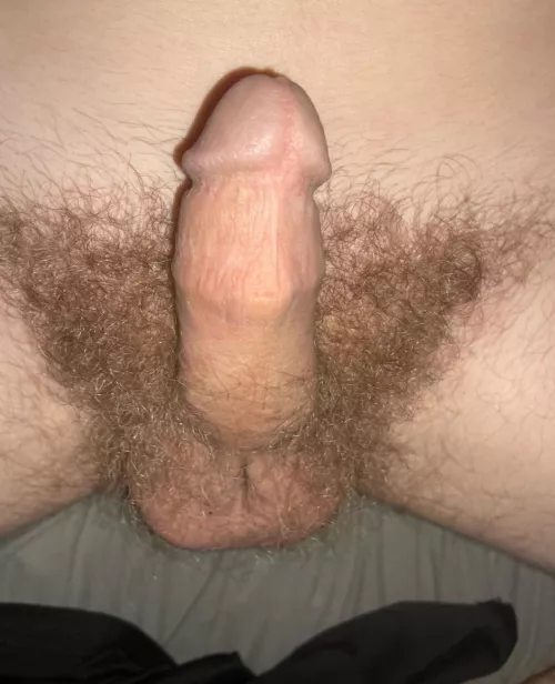 23m bi, havnt shaved in over a year! 