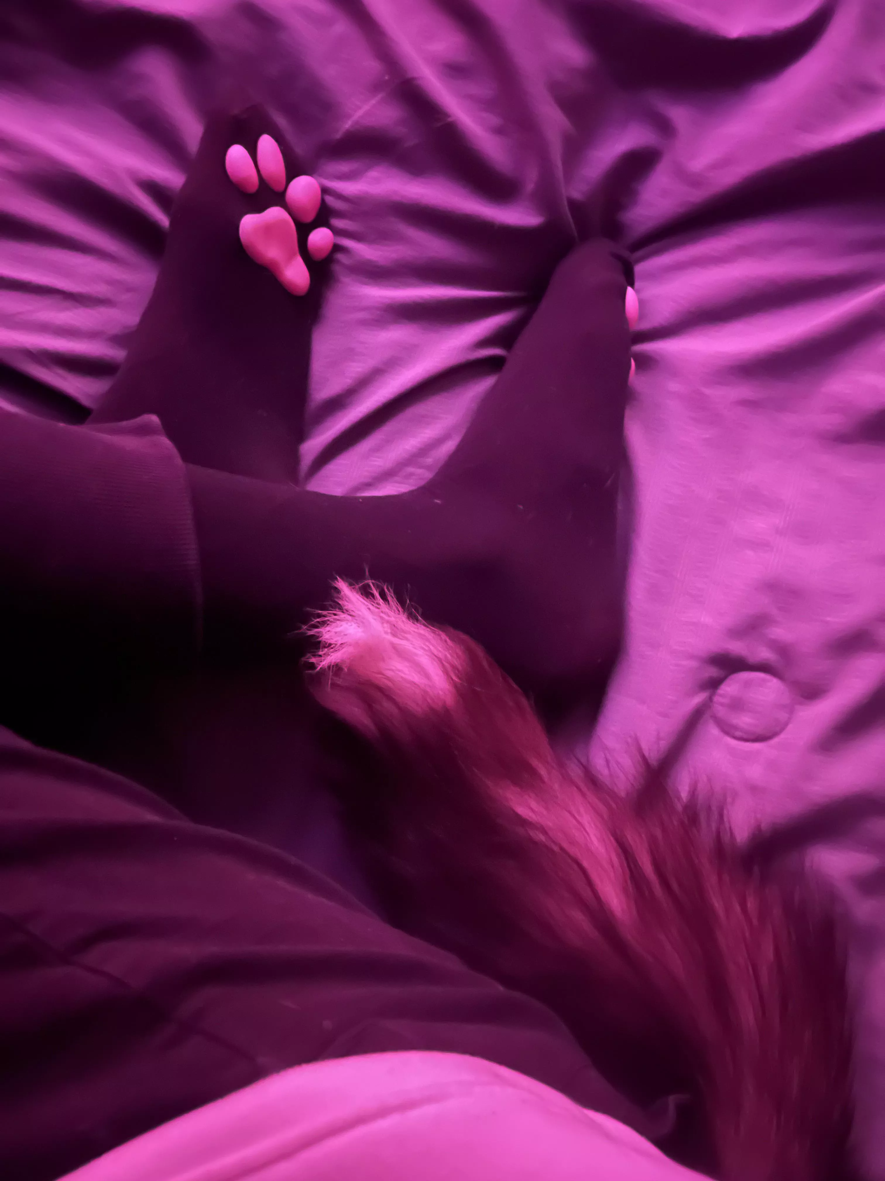 Anyone likes paws and tails?