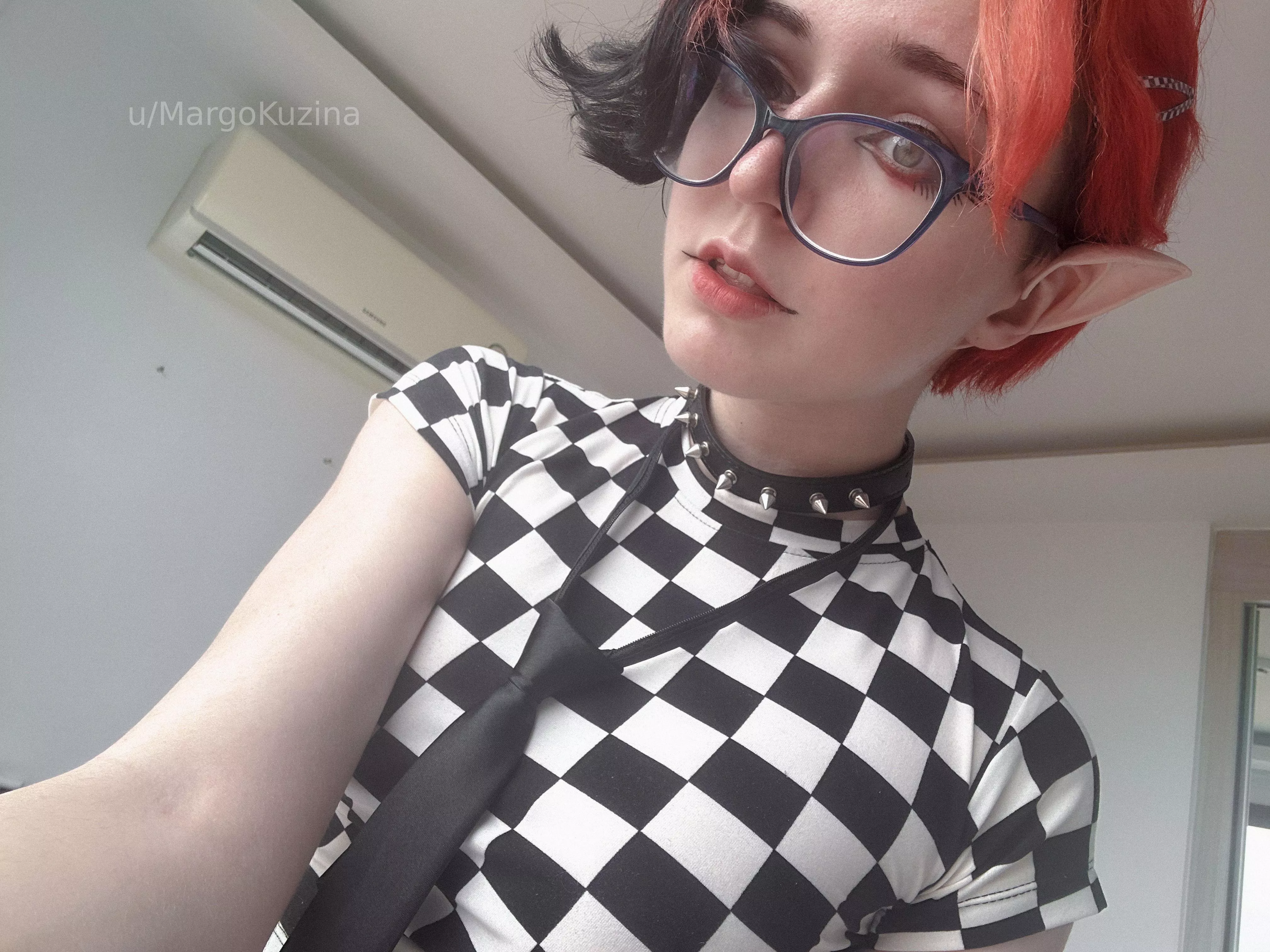 black & white & collar