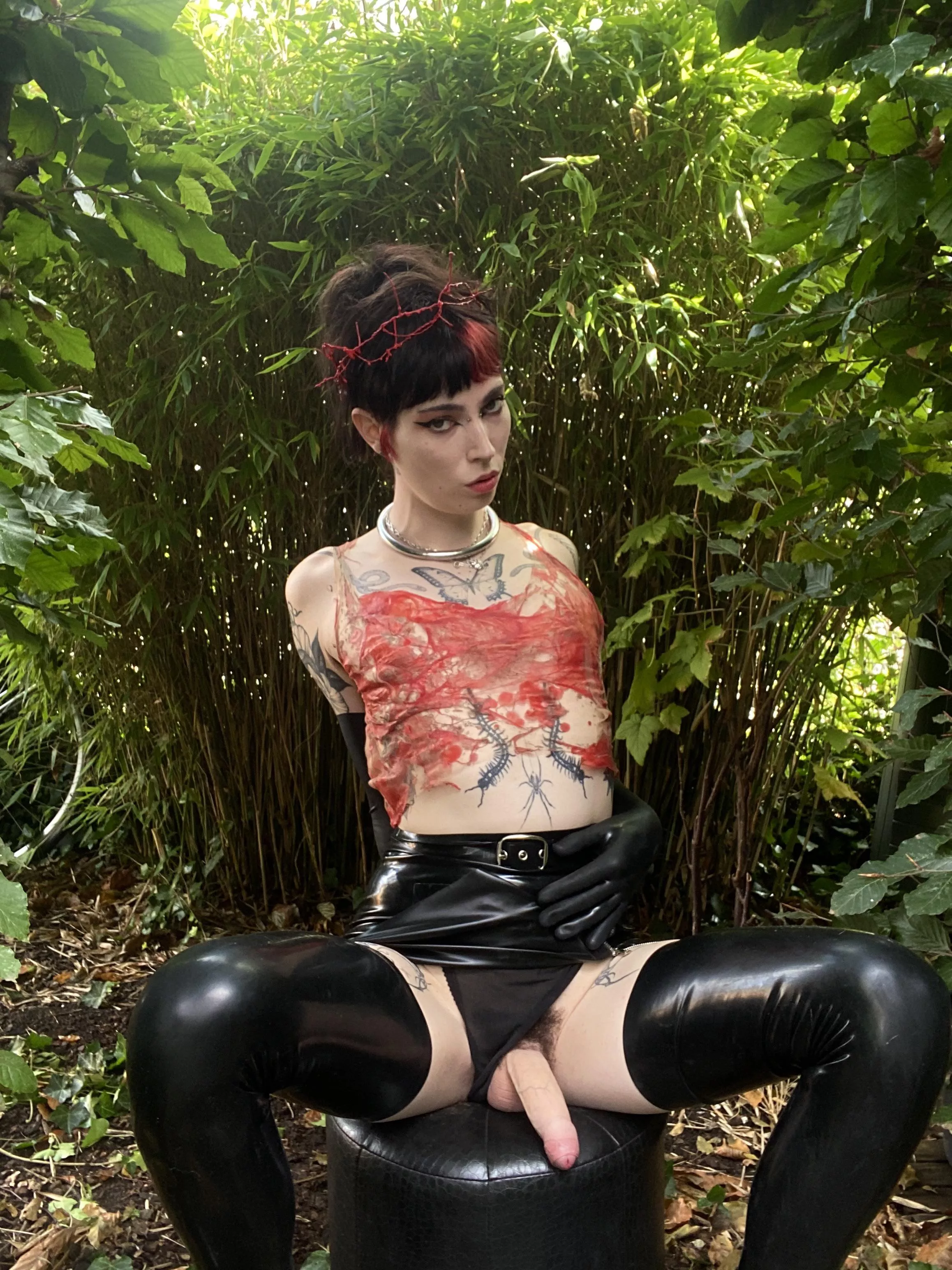 Blow me in the backyard 