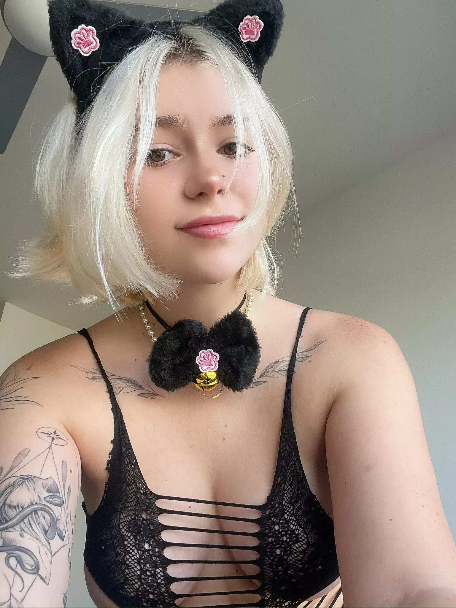 Caution: this kitty bites! 