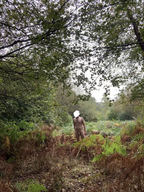 Fall is Coming Quickly