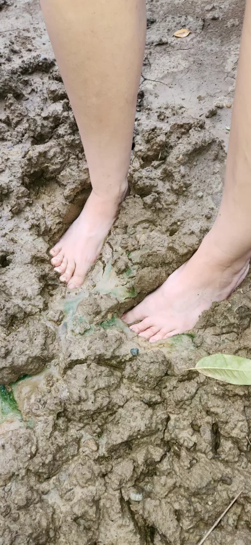 Feet in the mud