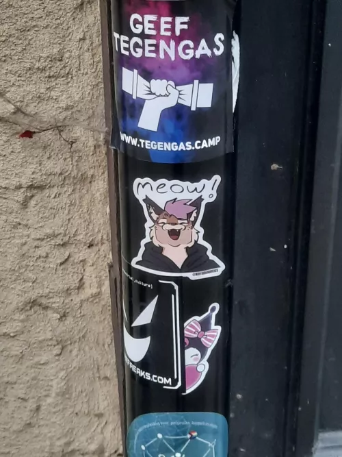 First time spotting a furry sticker in the wild