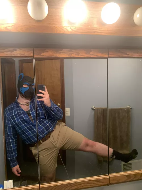 Puppy worked the door at a kink event last night 