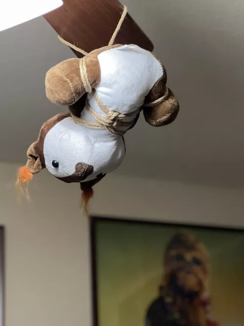 The fan in my home office needed something and I was running out of desk space for claw machine prizes