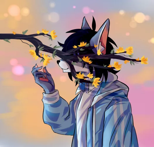 The trees are blooming