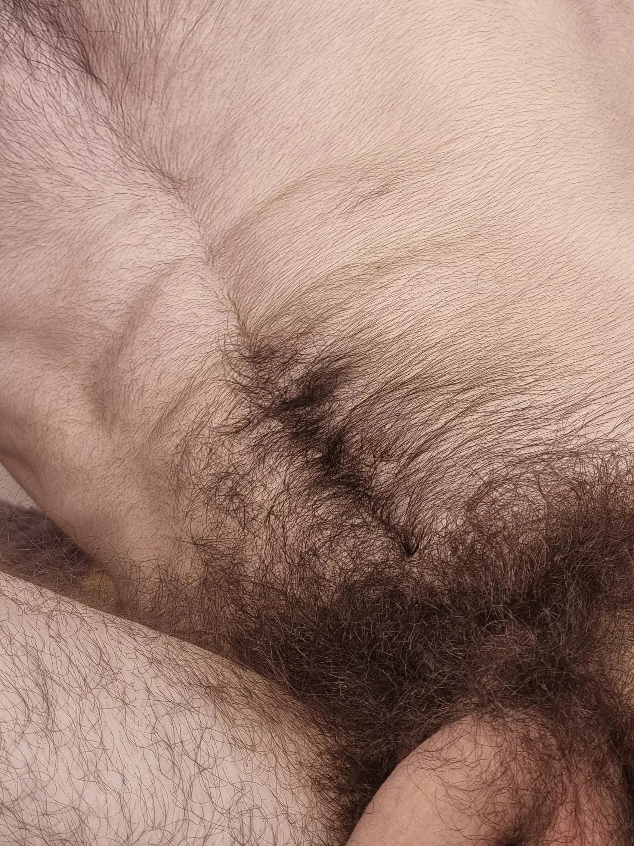 You can nap on me🥱