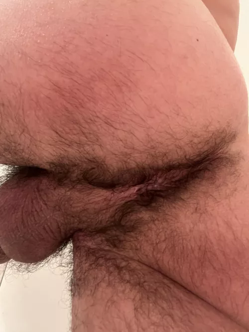 hairy jock 