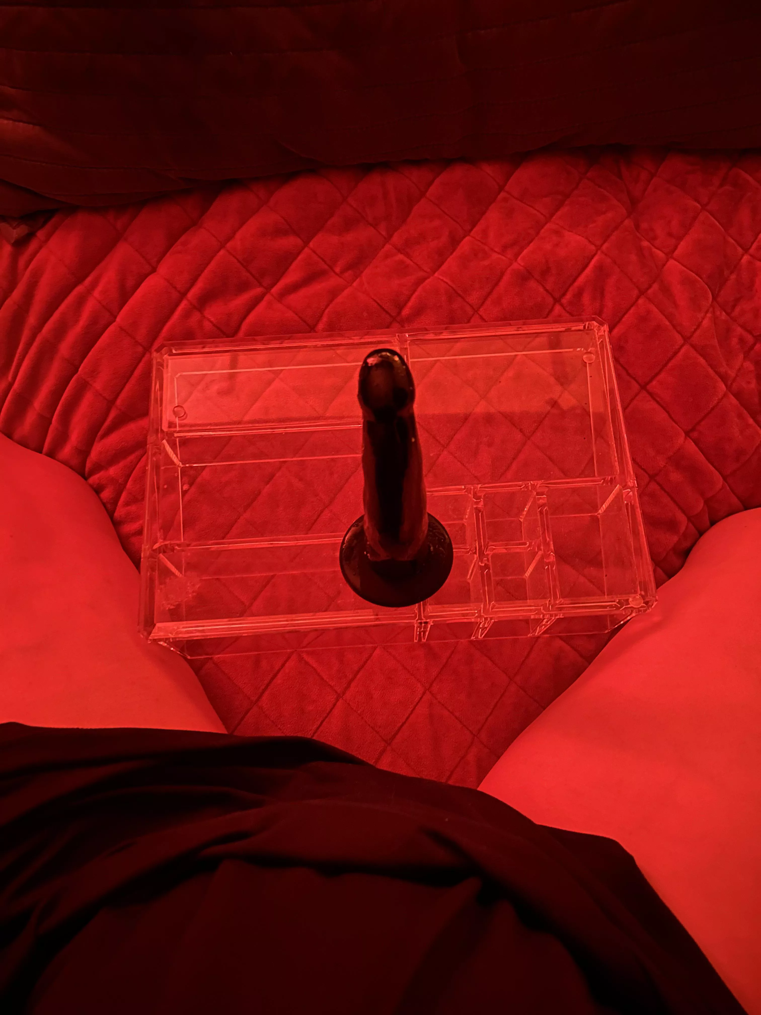 I’m ready for a ride 🤠