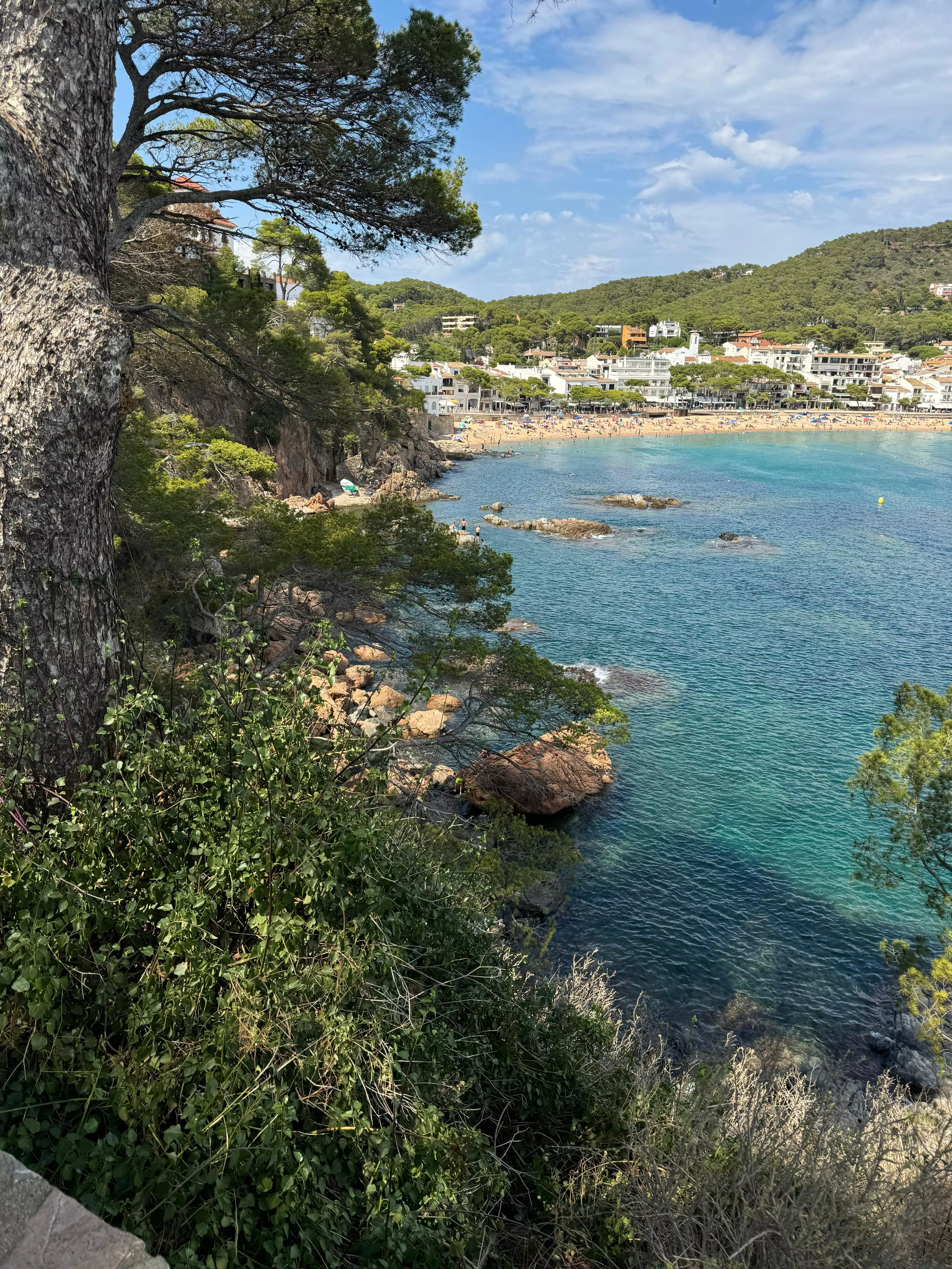 Next to the costal roads from Calella to Llafranc, Spain. It really is a place and a beach that are worth it.