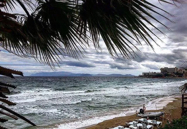 Palm trees and golden sand beach in Turkey in cloudy weather
