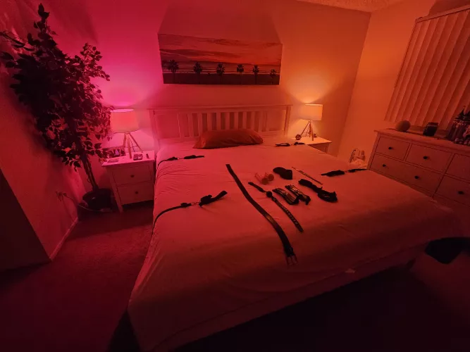 Thoughts on my setup? Just got into kink this year. Kinda want a clean, crisp, high class vibe.