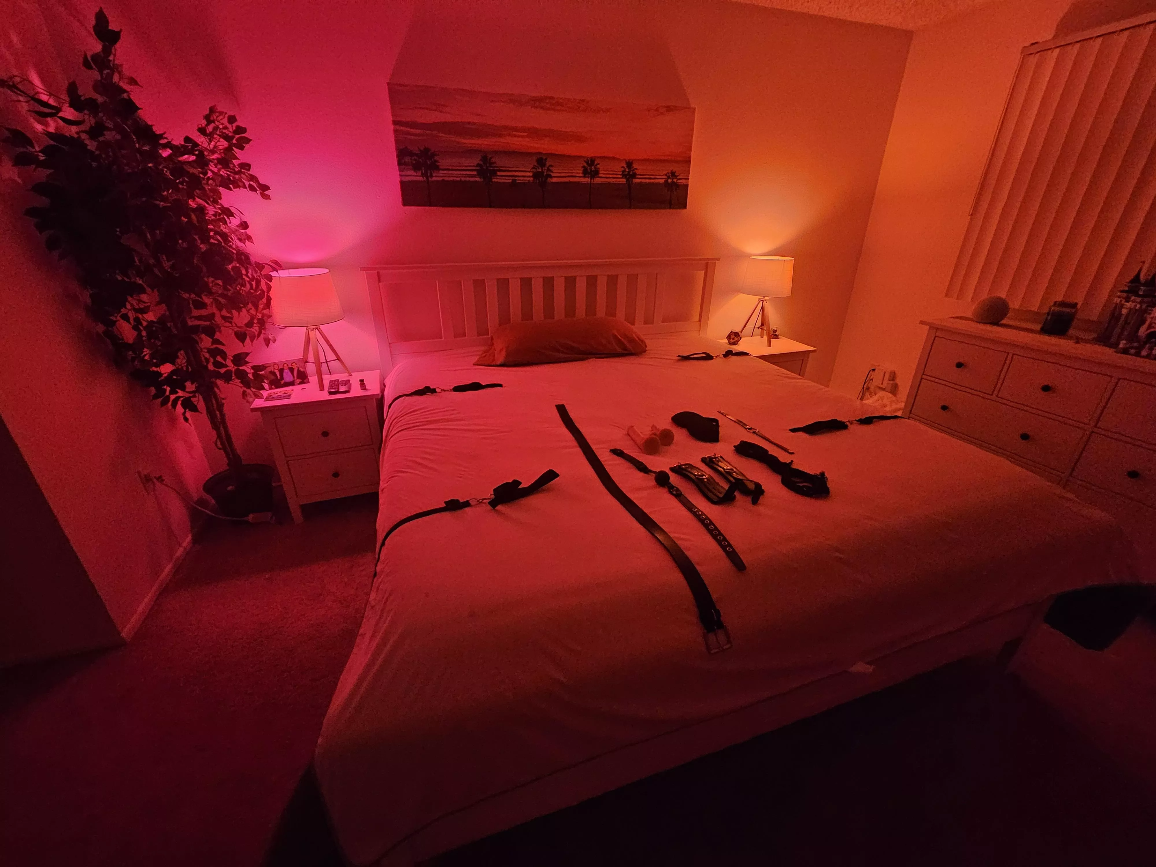 Thoughts on my setup? Just got into kink this year. Kinda want a clean, crisp, high class vibe.