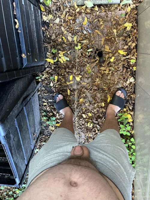 Unloading some beers behind the shed